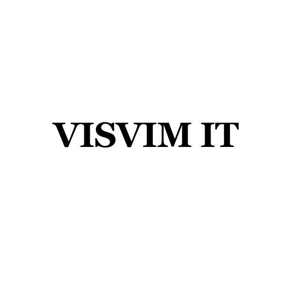 VISVIM IT商标转让