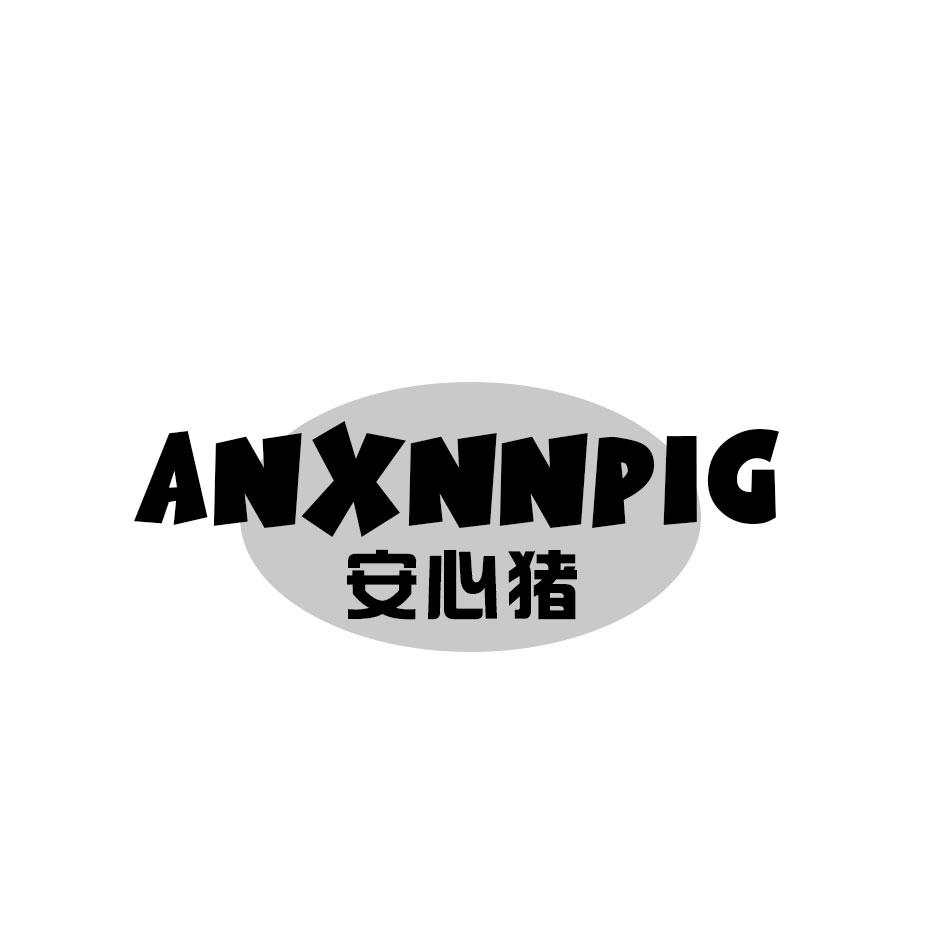 09类-科学仪器安心猪 ANXNNPIG商标转让