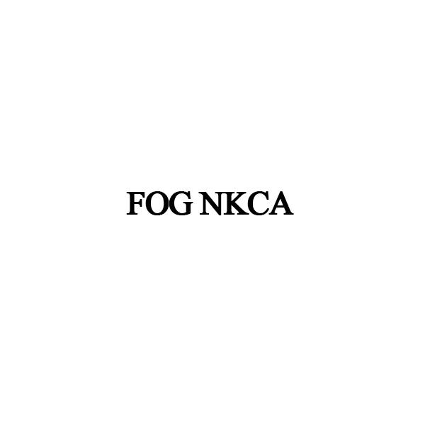 25类-服装鞋帽FOG NKCA商标转让