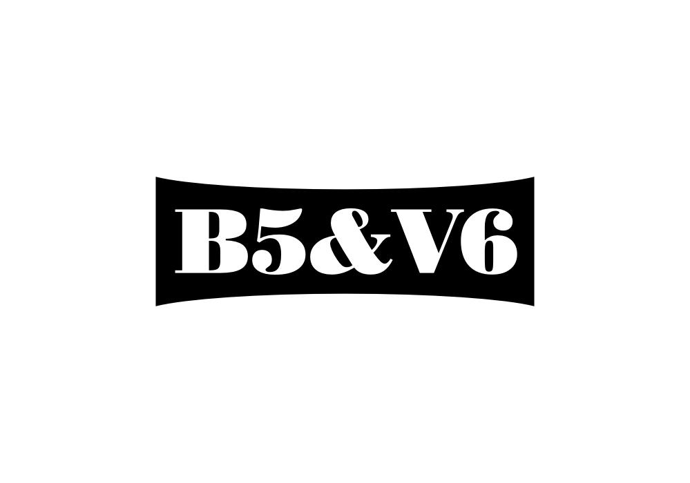 25类-服装鞋帽B5&V6商标转让