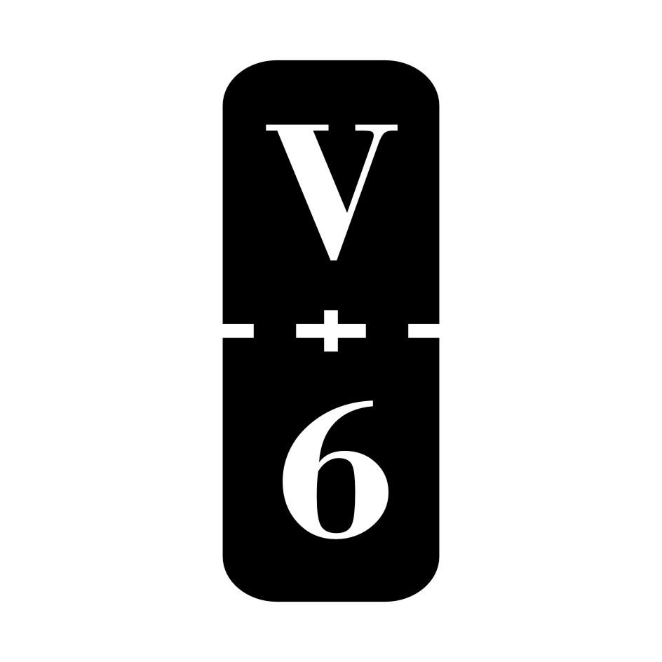 V 6商标转让