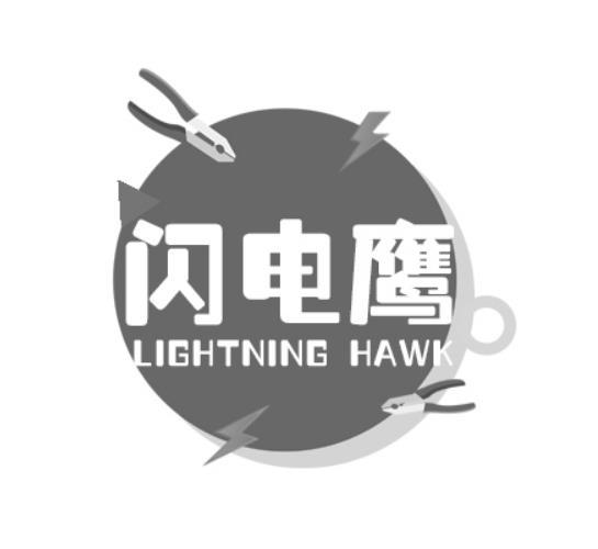 闪电鹰 LIGHTNING HAWK商标转让
