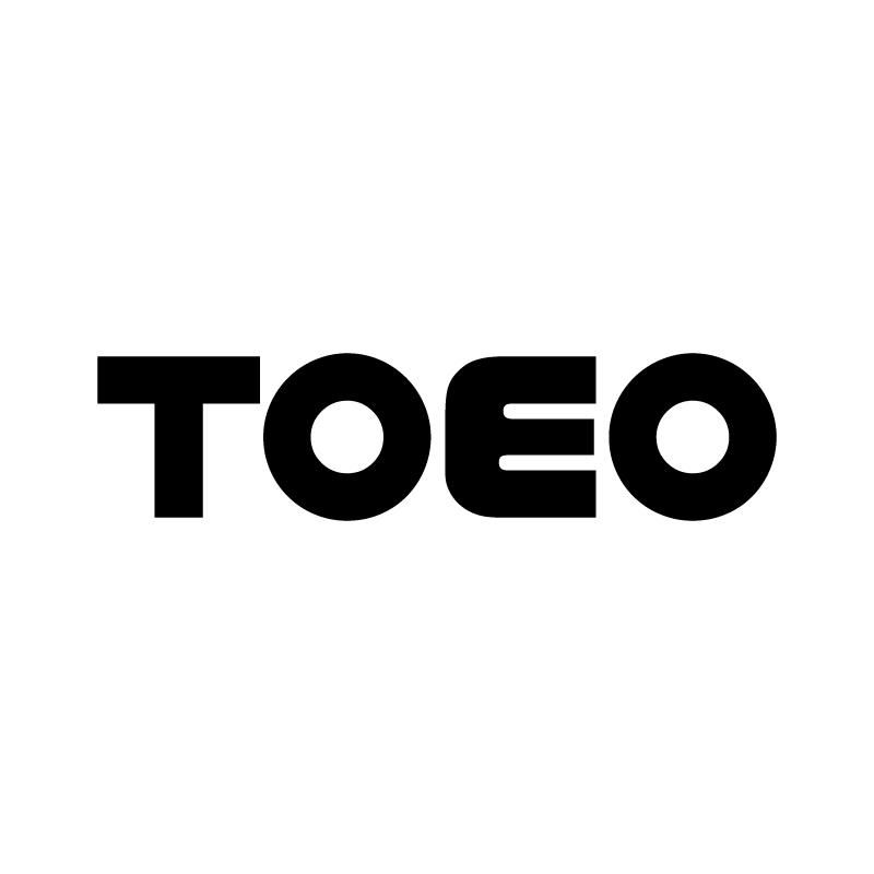 09类-科学仪器TOEO商标转让