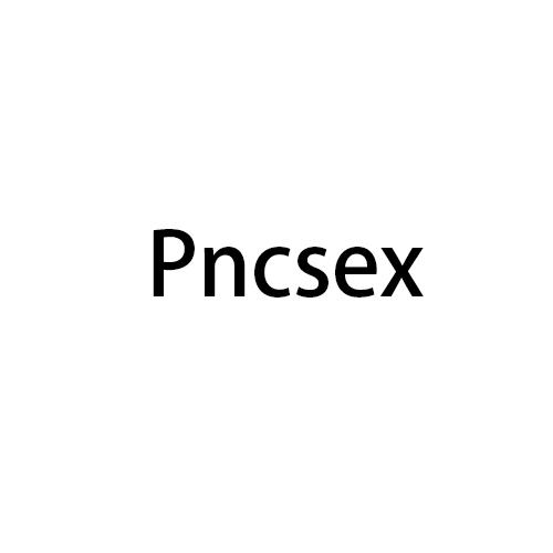 09类-科学仪器PNCSEX商标转让