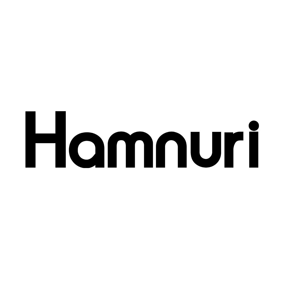 35类-广告销售HAMNURI商标转让