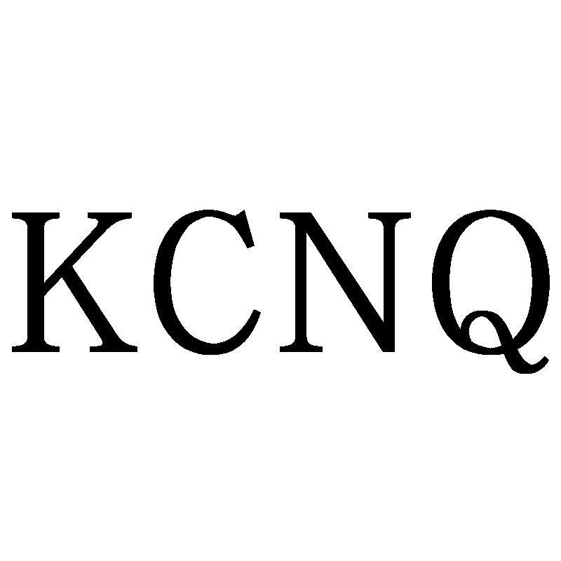 05类-医药保健KCNQ商标转让