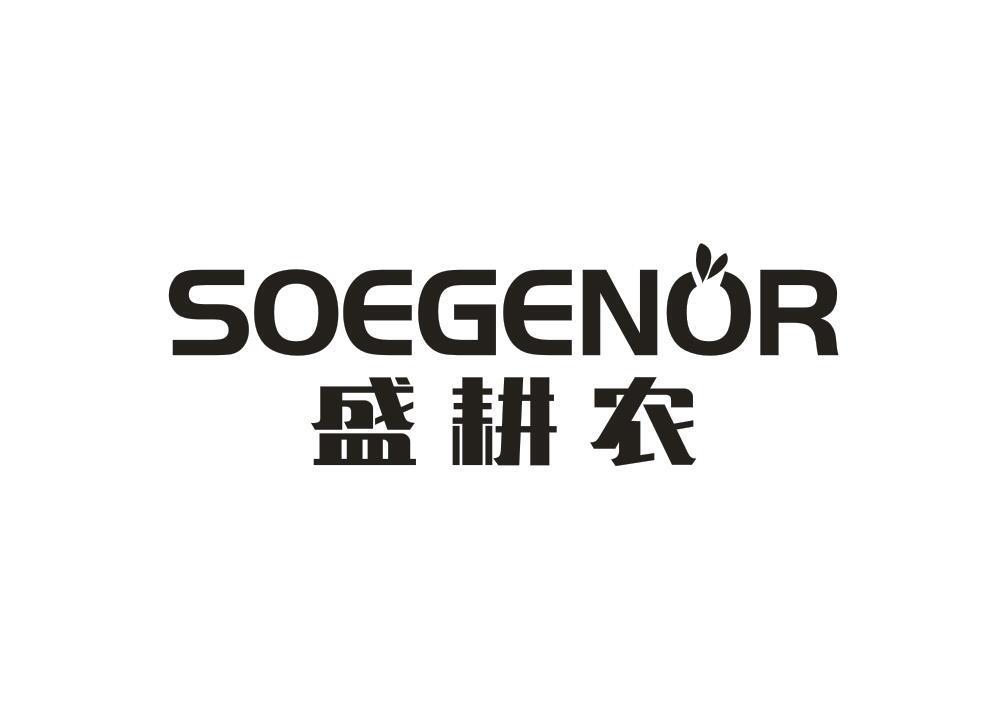 01类-化学原料盛耕农 SOEGENOR商标转让