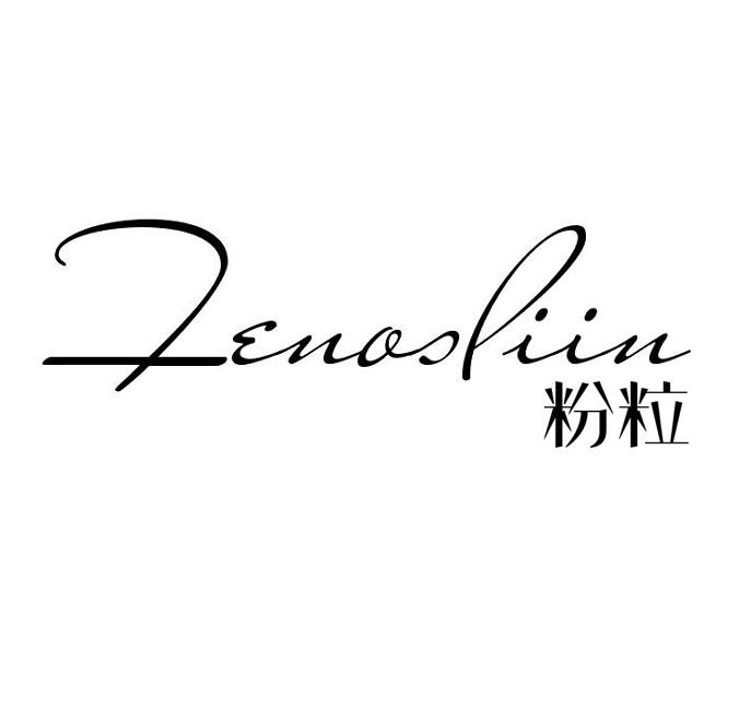 粉粒 FENOSLIIN