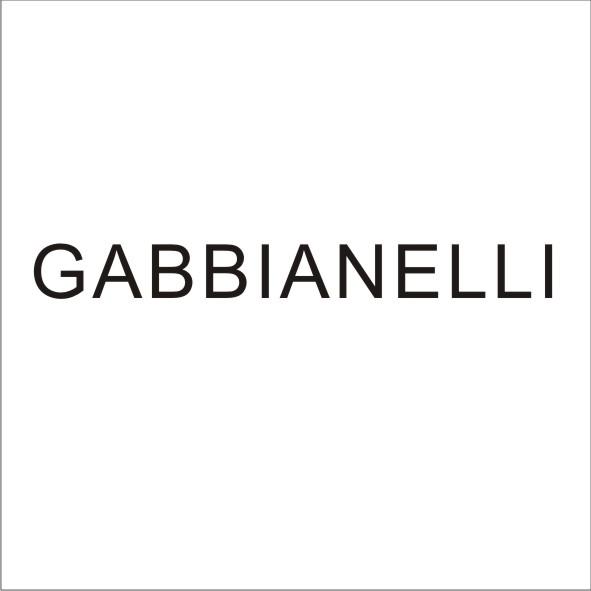 19类-建筑材料GABBIANELLI商标转让