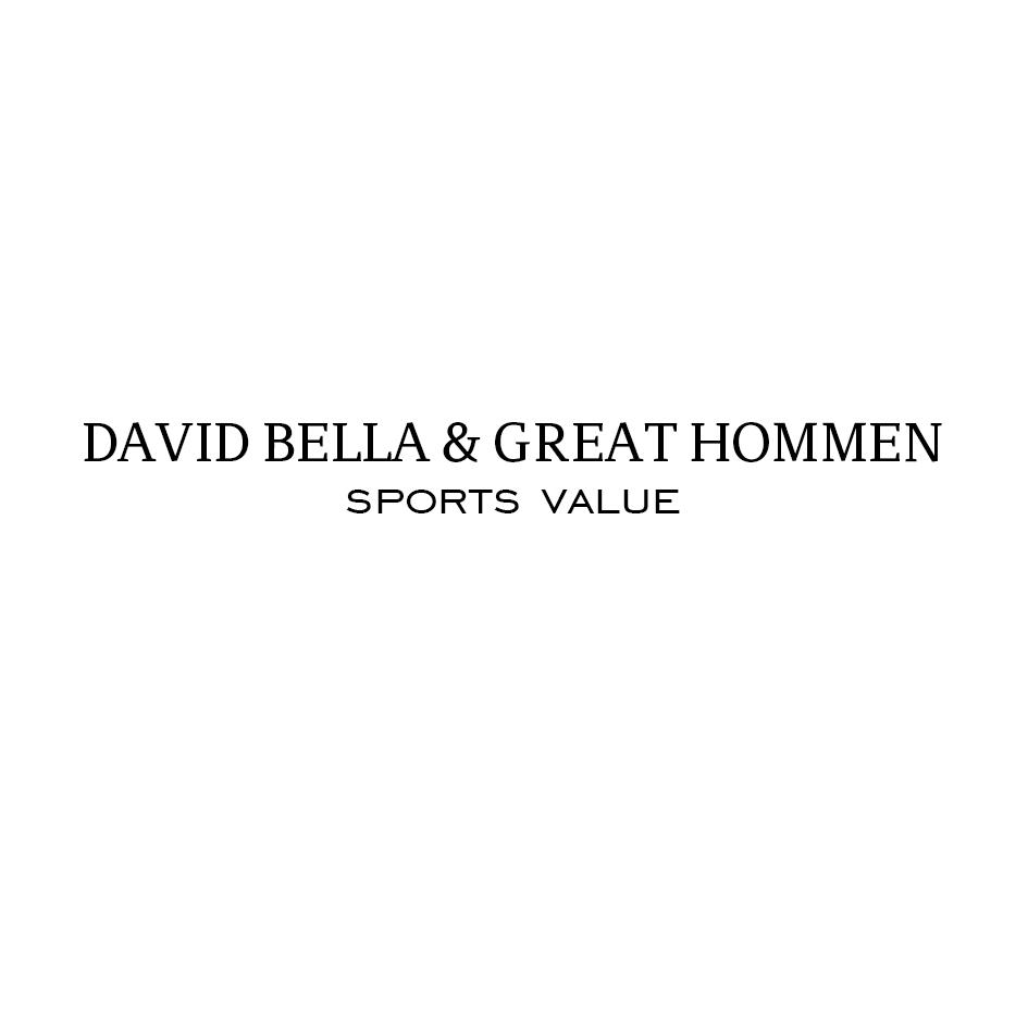 25类-服装鞋帽DAVID BELLA GREAT HOMMEN SPORTS VALUE商标转让