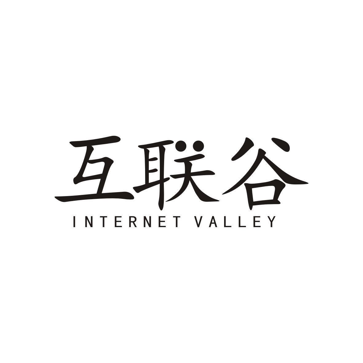 互联谷 INTERNET VALLEY