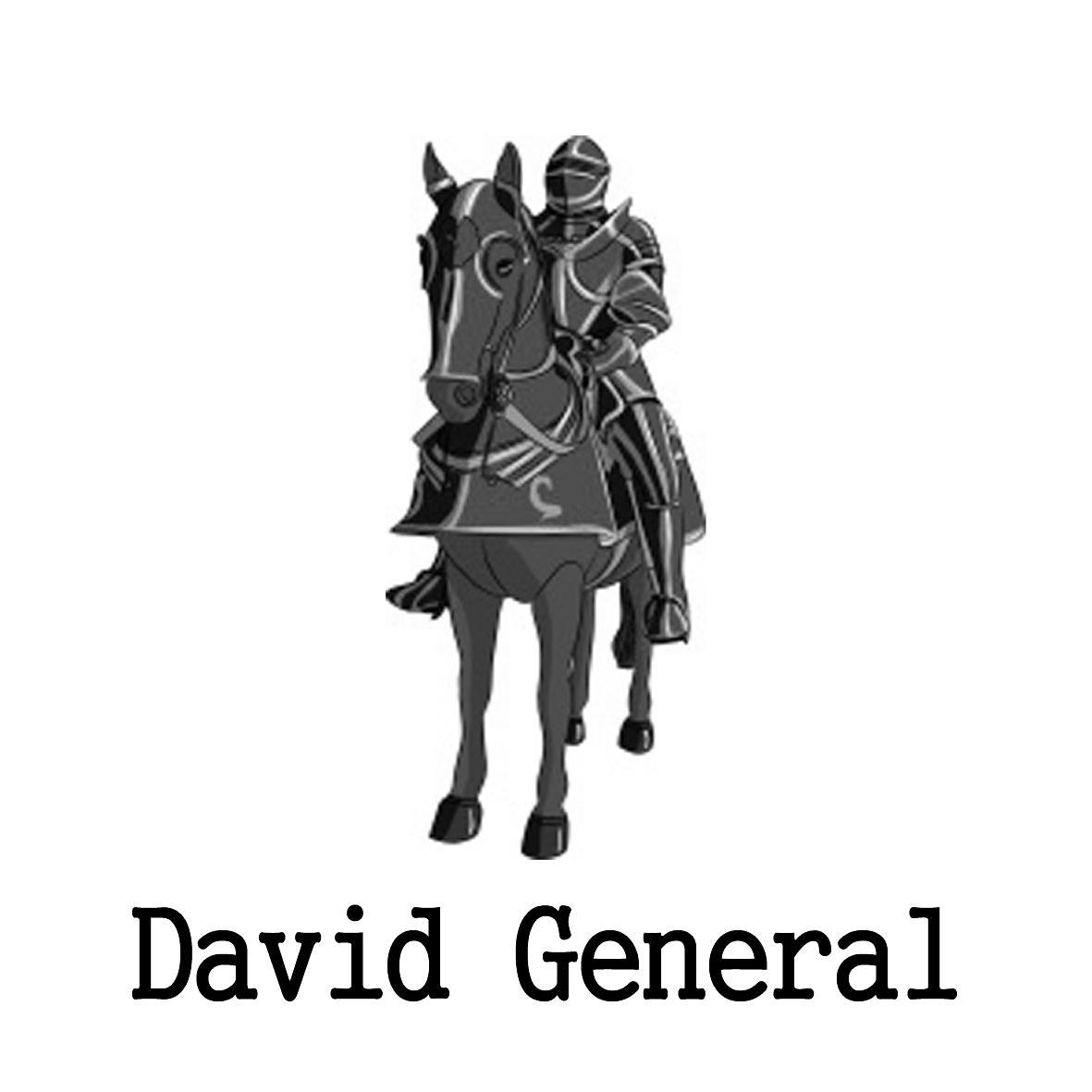 24类-纺织制品DAVID GENERAL商标转让