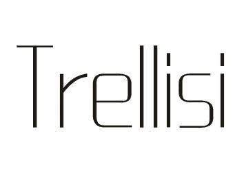 14类-珠宝钟表TRELLISI商标转让