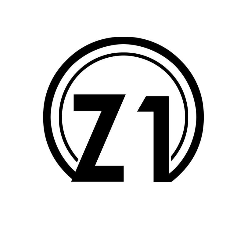 11类-电器灯具ZV商标转让