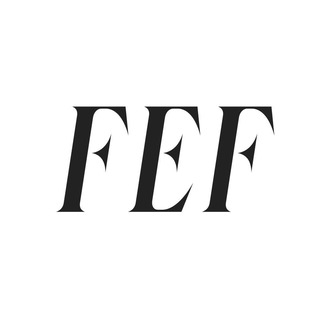 15类-乐器FEF商标转让