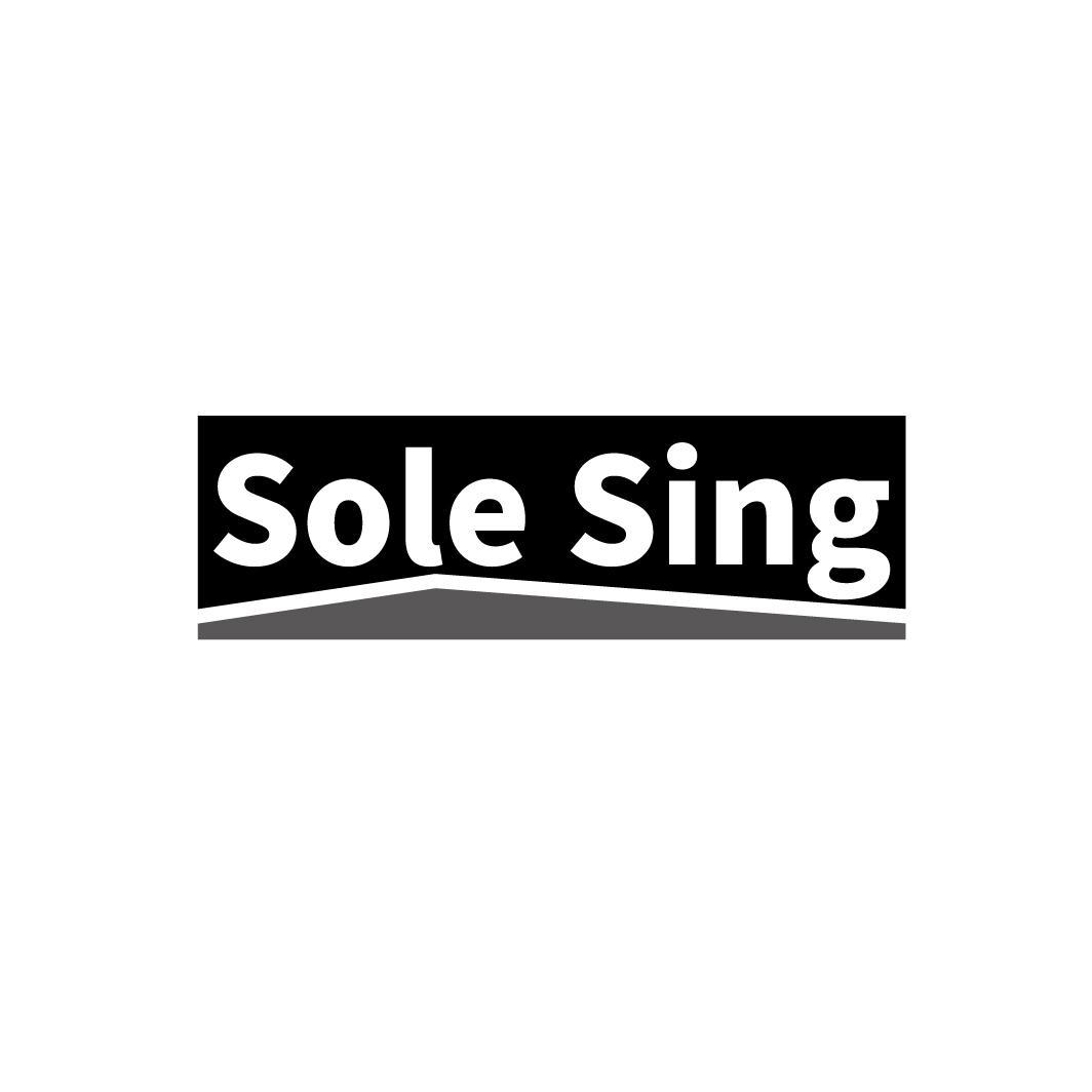 09类-科学仪器SOLE SING商标转让
