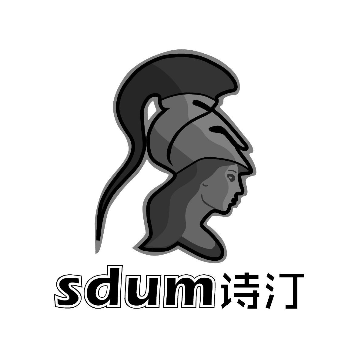 09类-科学仪器诗汀 SDUM商标转让