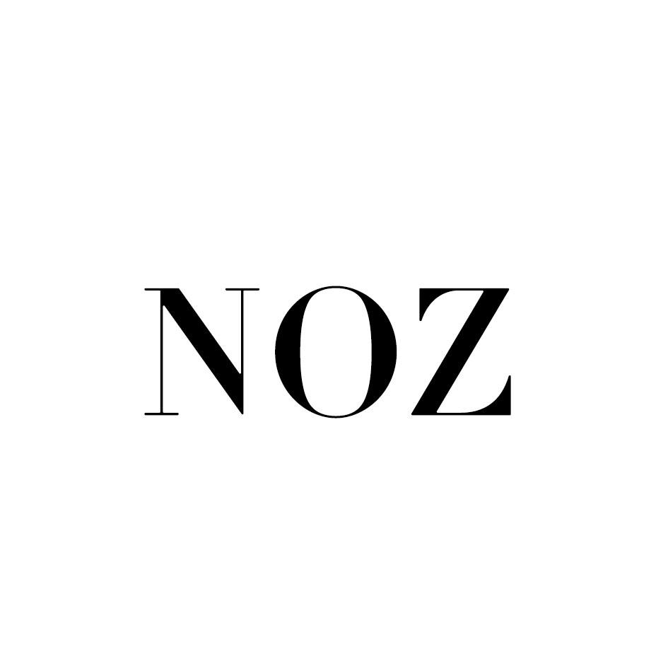 11类-电器灯具NOZ商标转让
