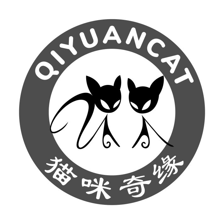 43类-餐饮住宿猫咪奇缘 QIYUANCAT商标转让