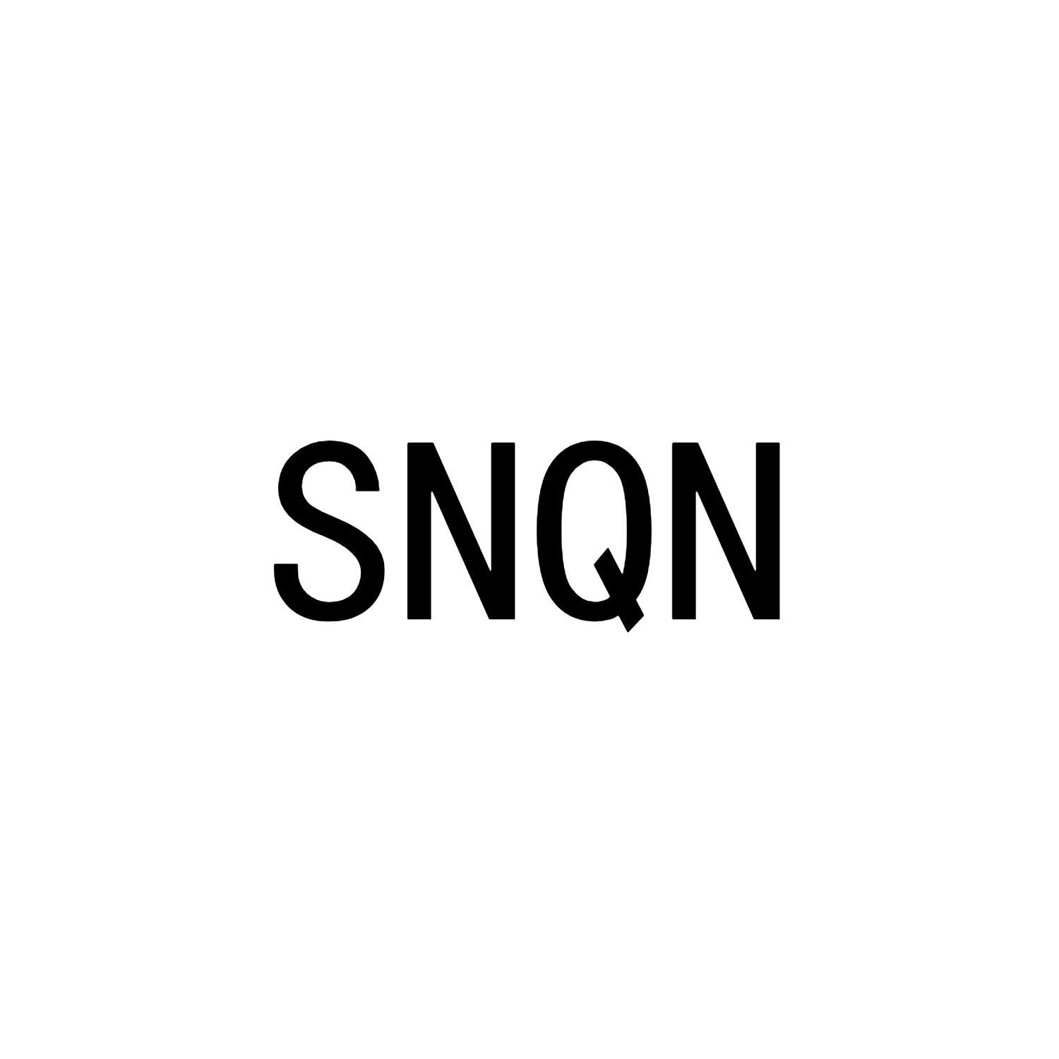 25类-服装鞋帽SNQN商标转让