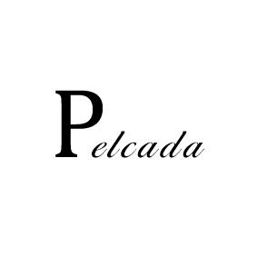 25类-服装鞋帽PELCADA商标转让