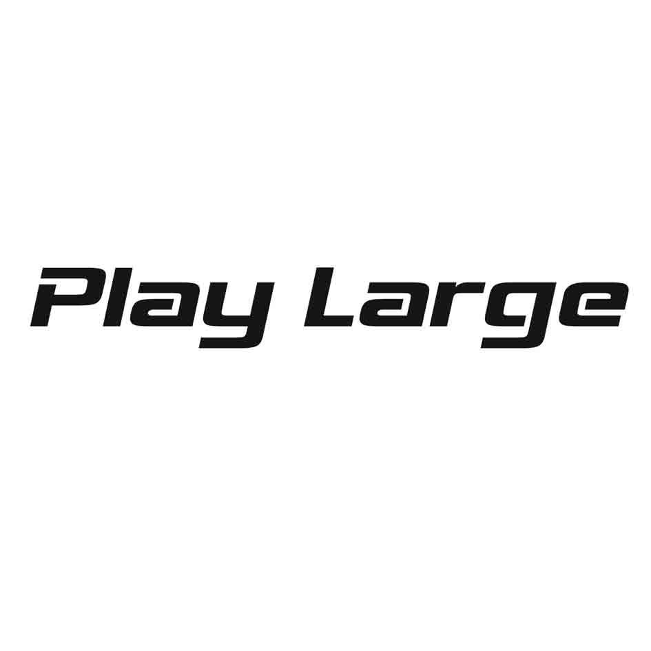 PLAY LARGE