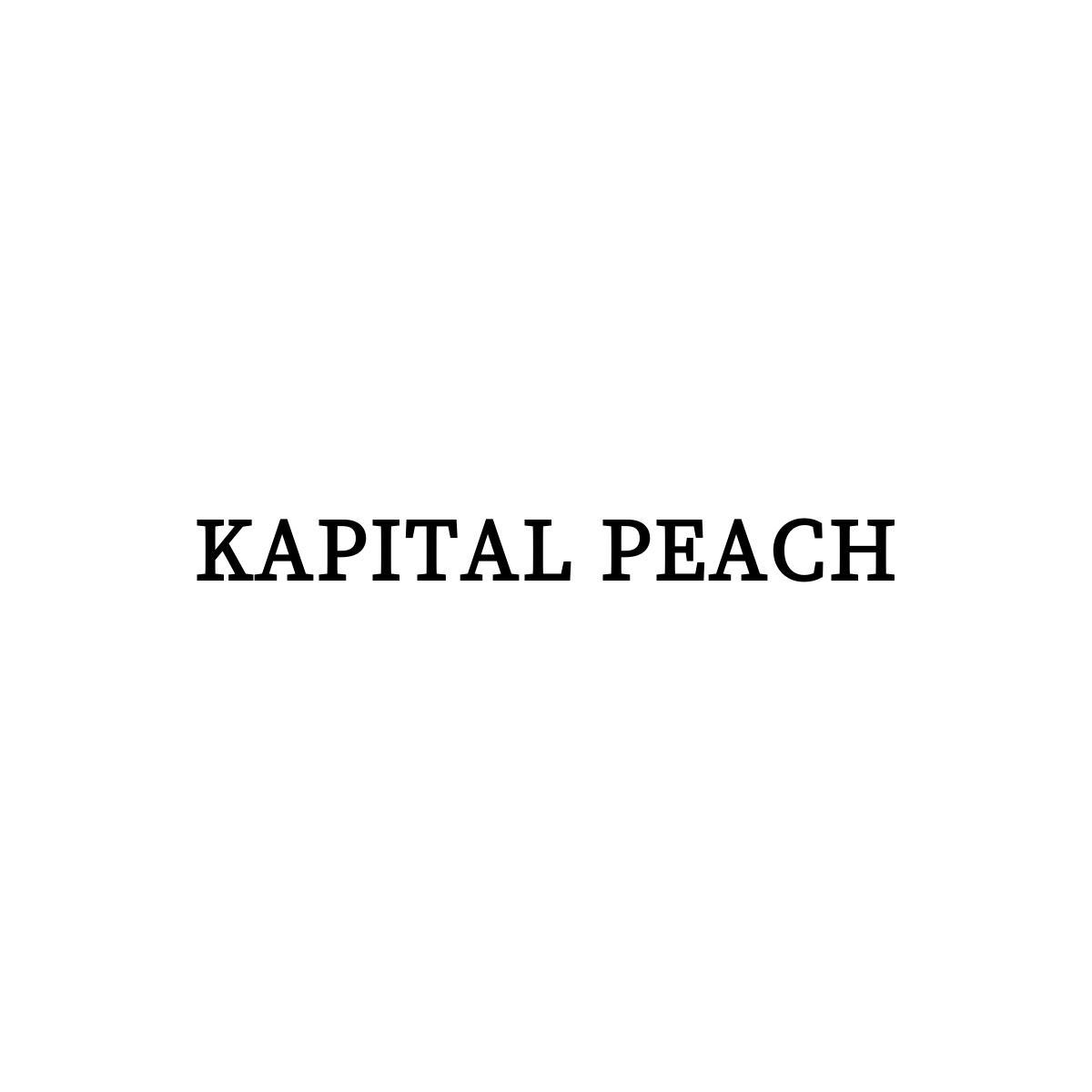 25类-服装鞋帽KAPITAL PEACH商标转让