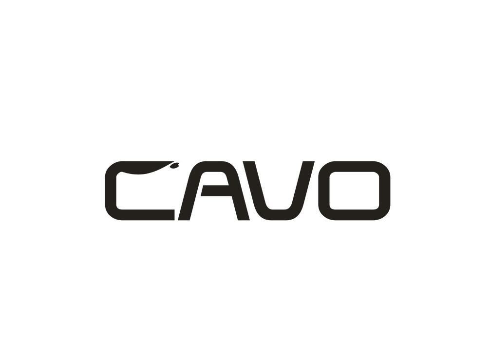 18类-箱包皮具CAVO商标转让