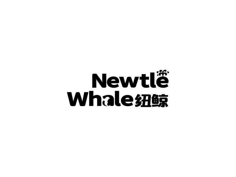 纽鲸  NEWTLE WHALE