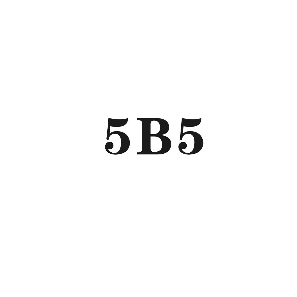 5B5