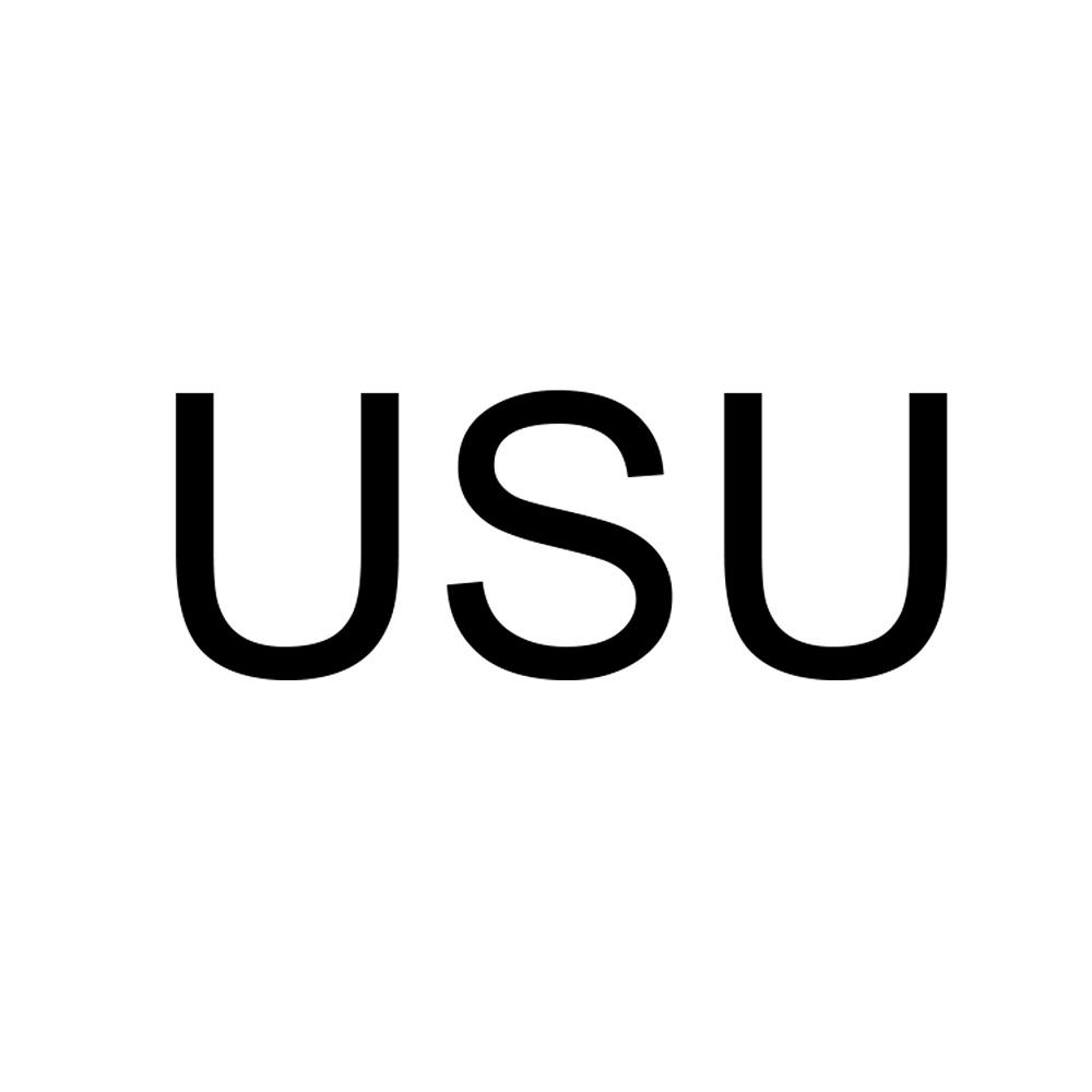 26类-纽扣拉链USU商标转让