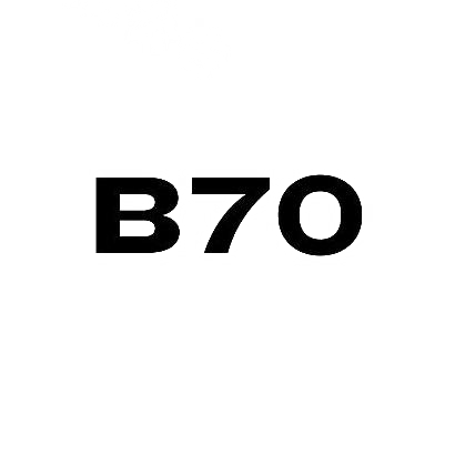 25类-服装鞋帽B70商标转让