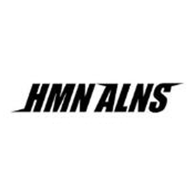 09类-科学仪器HMN ALNS商标转让