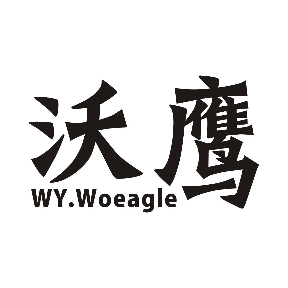 09类-科学仪器沃鹰 WY.WOEAGLE商标转让