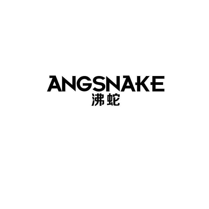 09类-科学仪器沸蛇 ANGSNAKE商标转让
