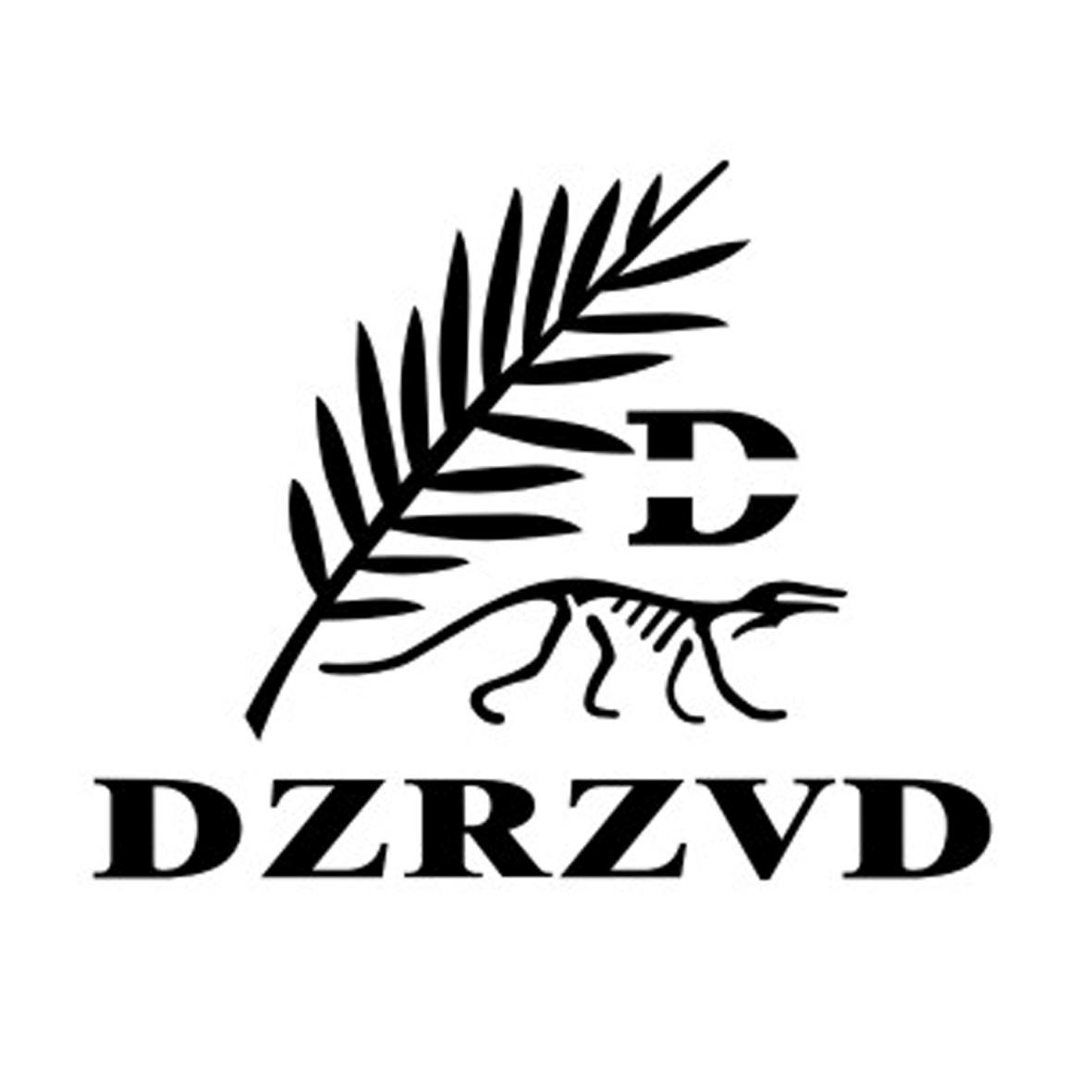 11类-电器灯具DZRZVD D商标转让