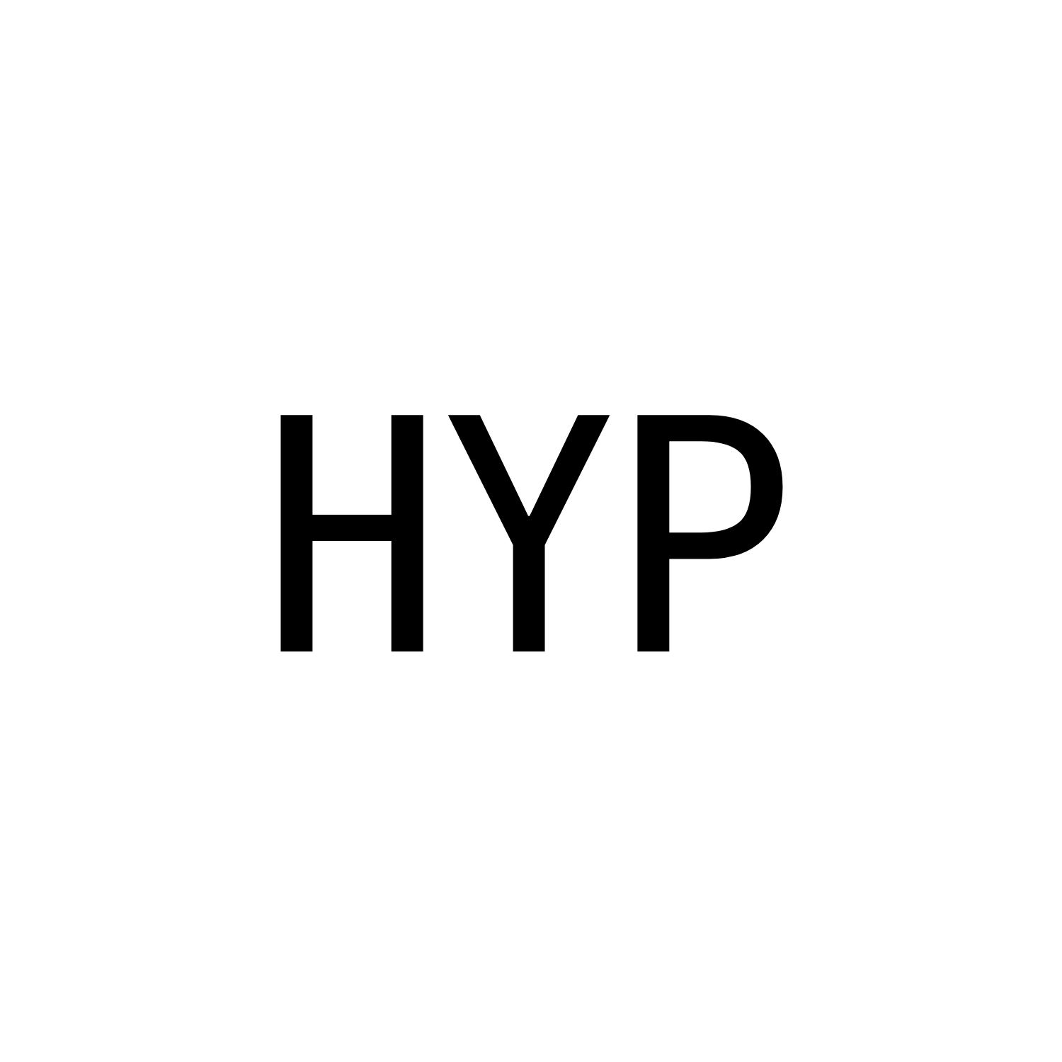18类-箱包皮具HYP商标转让