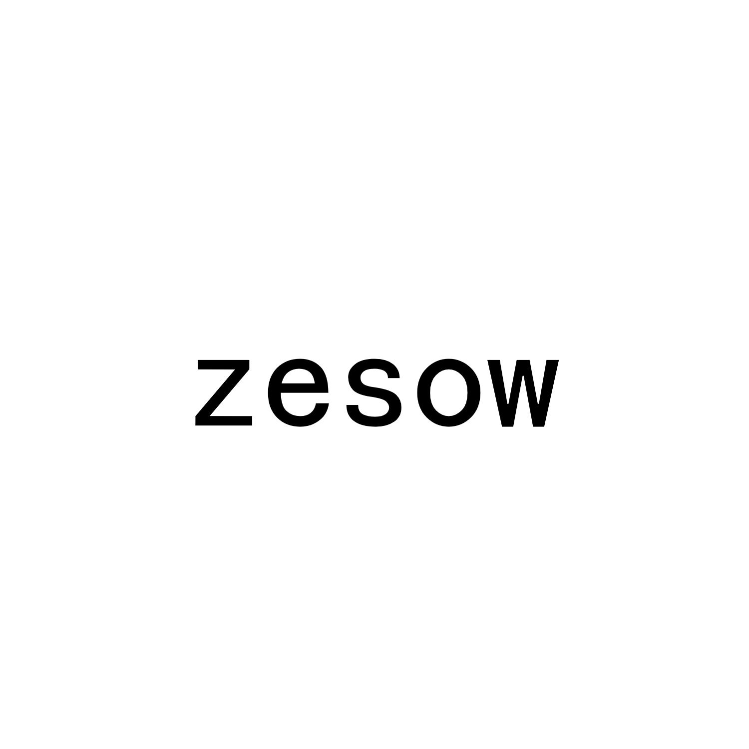 08类-工具器械ZESOW商标转让