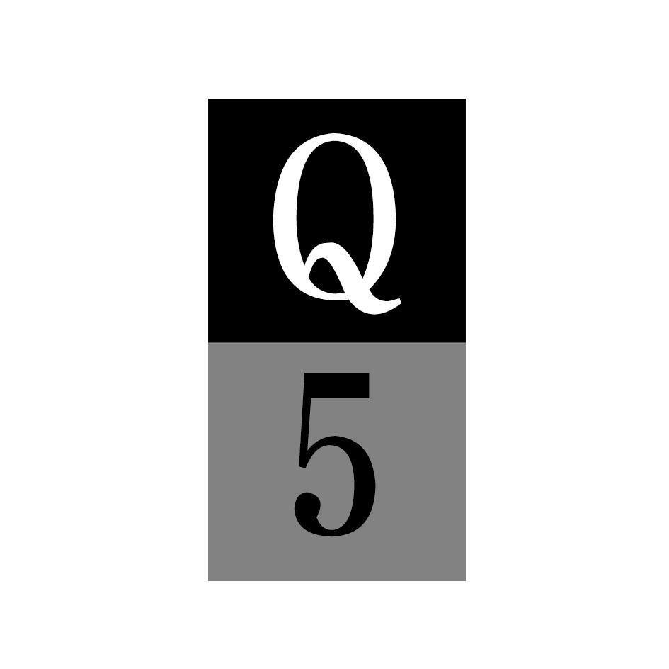 Q 5商标转让