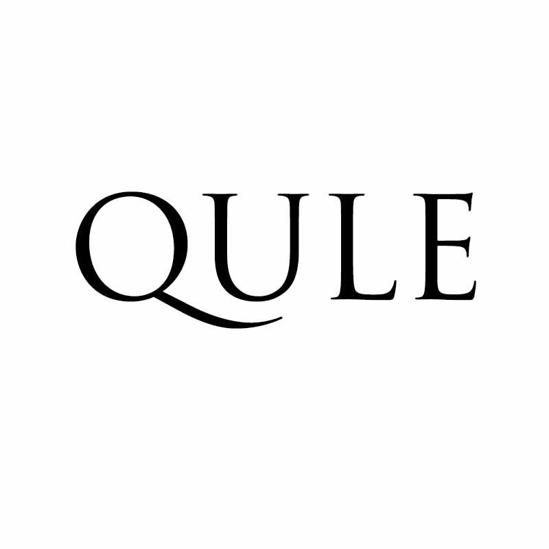 10类医疗器械-QULE