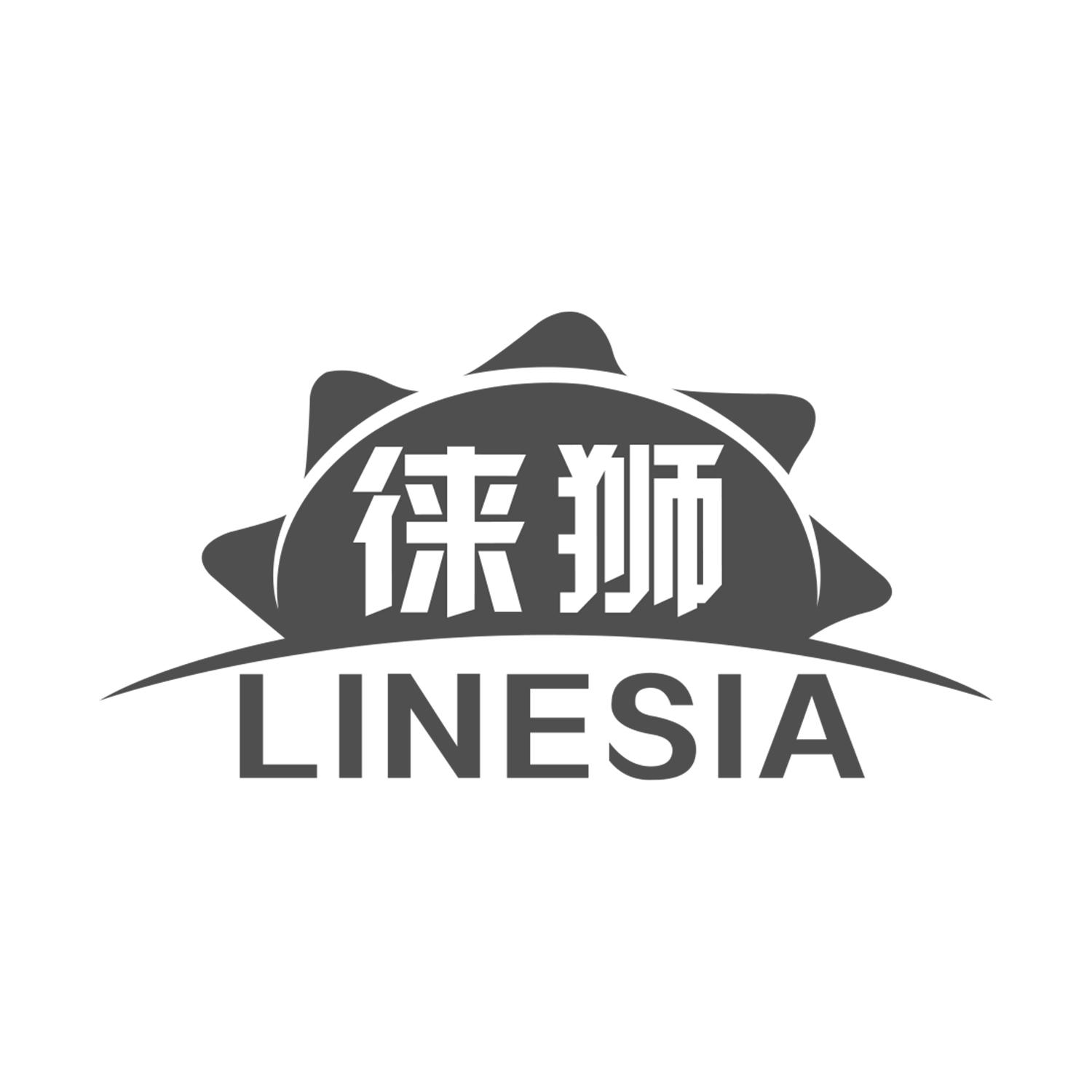 09类-科学仪器徕狮 LINESIA商标转让