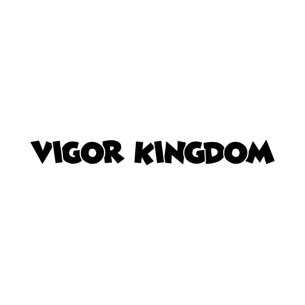 28类-健身玩具VIGOR KINGDOM商标转让