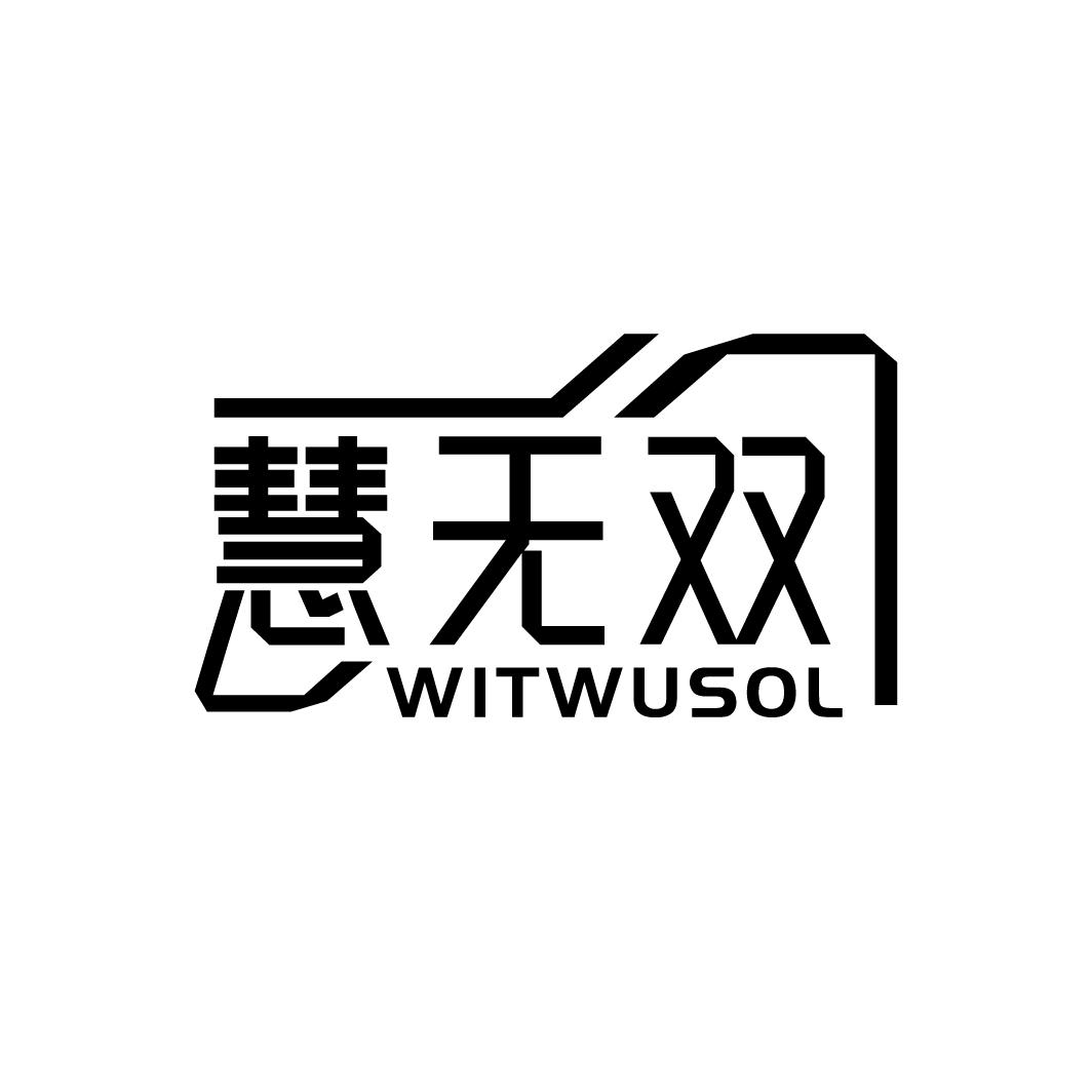 09类-科学仪器慧无双 WITWUSOL商标转让