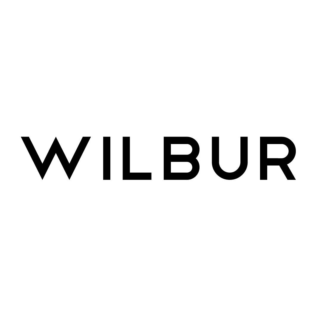 41类-教育文娱WILBUR商标转让
