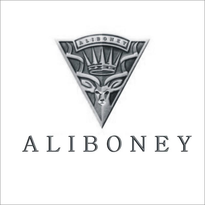 25类-服装鞋帽ALIBONEY商标转让