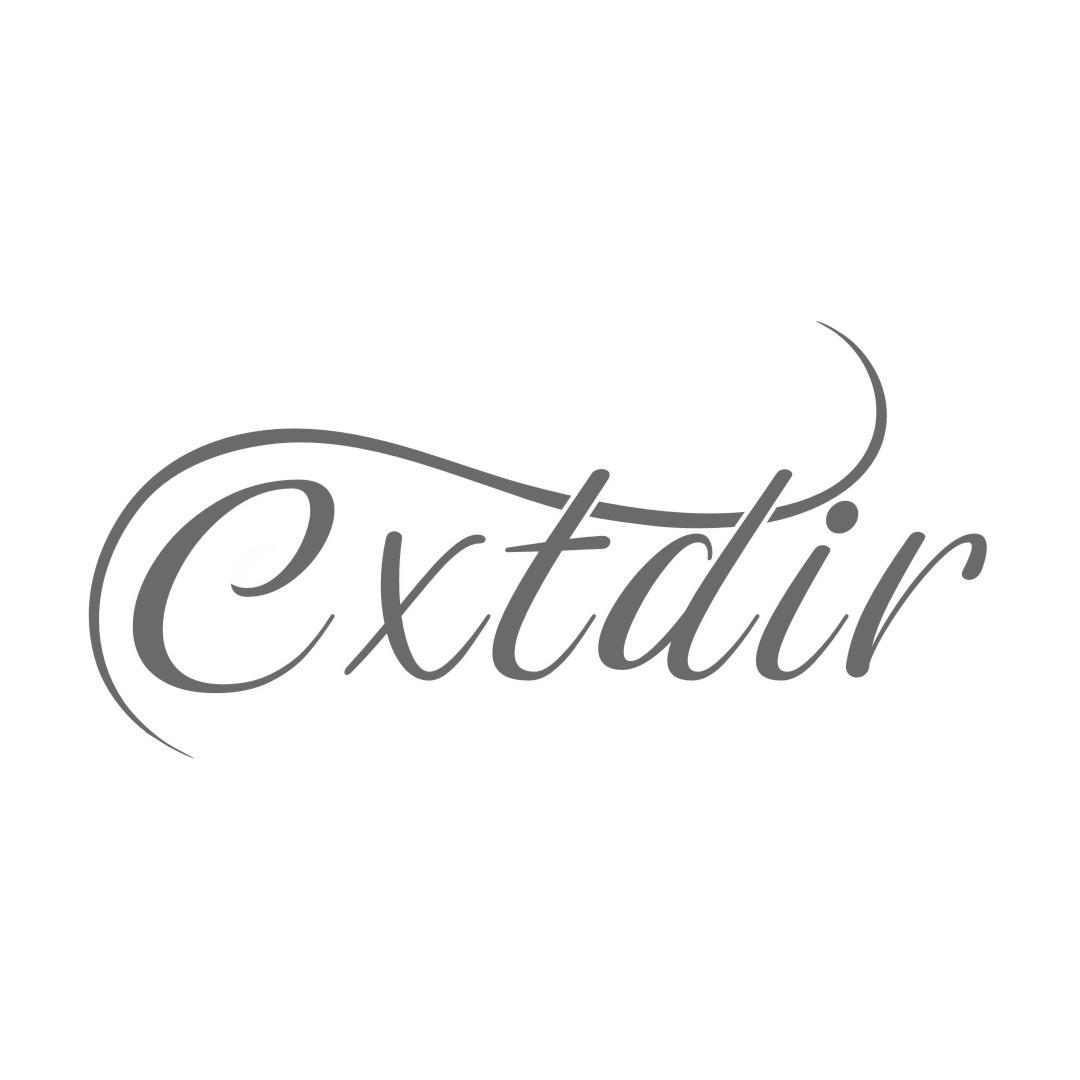 CXTDIR商标转让