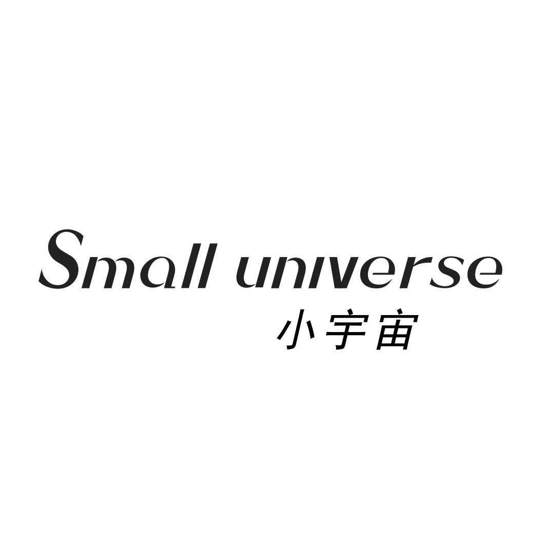 15类-乐器小宇宙 SMALL UNIVERSE商标转让