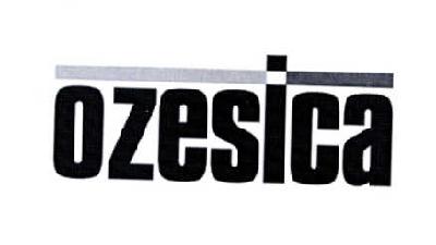 07类-机械设备OZESICA商标转让