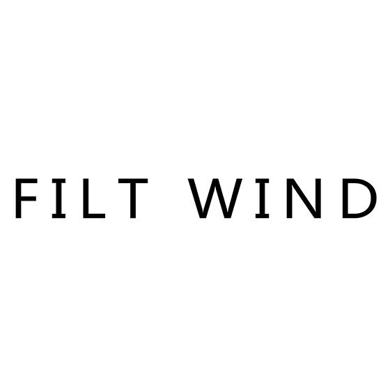 35类-广告销售FILT WIND商标转让