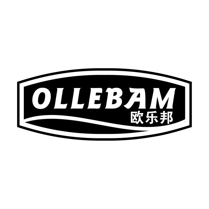 09类-科学仪器OLLEBAM 欧乐邦商标转让